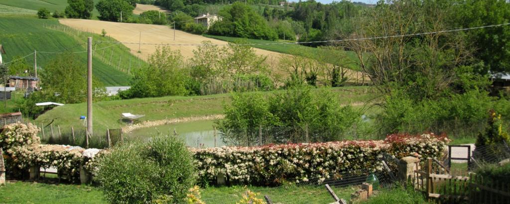 La Pietra Rara B&B 蒙托内 外观 照片