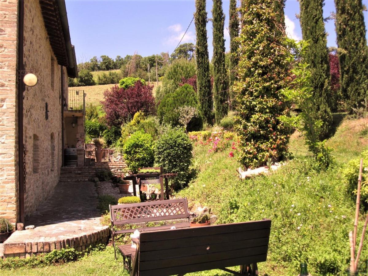 La Pietra Rara B&B 蒙托内 外观 照片