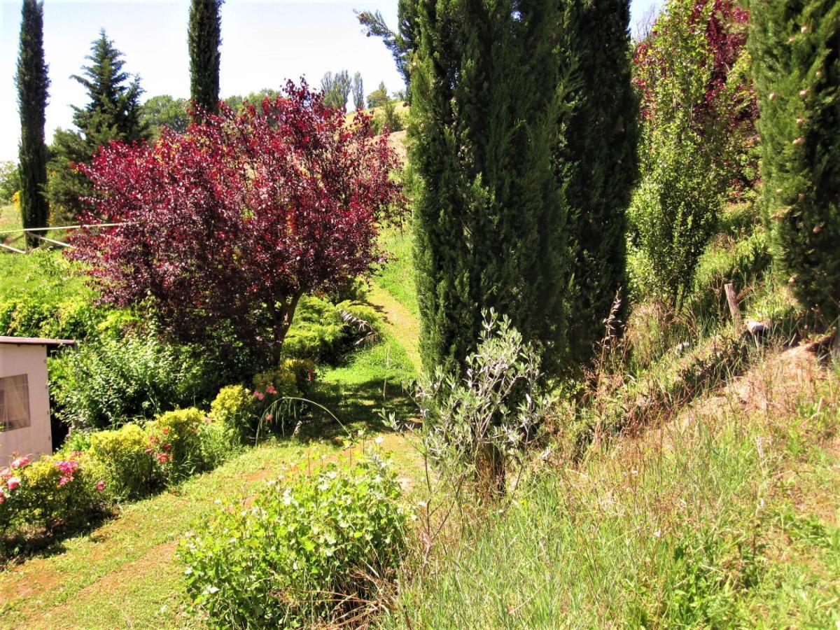 La Pietra Rara B&B 蒙托内 外观 照片