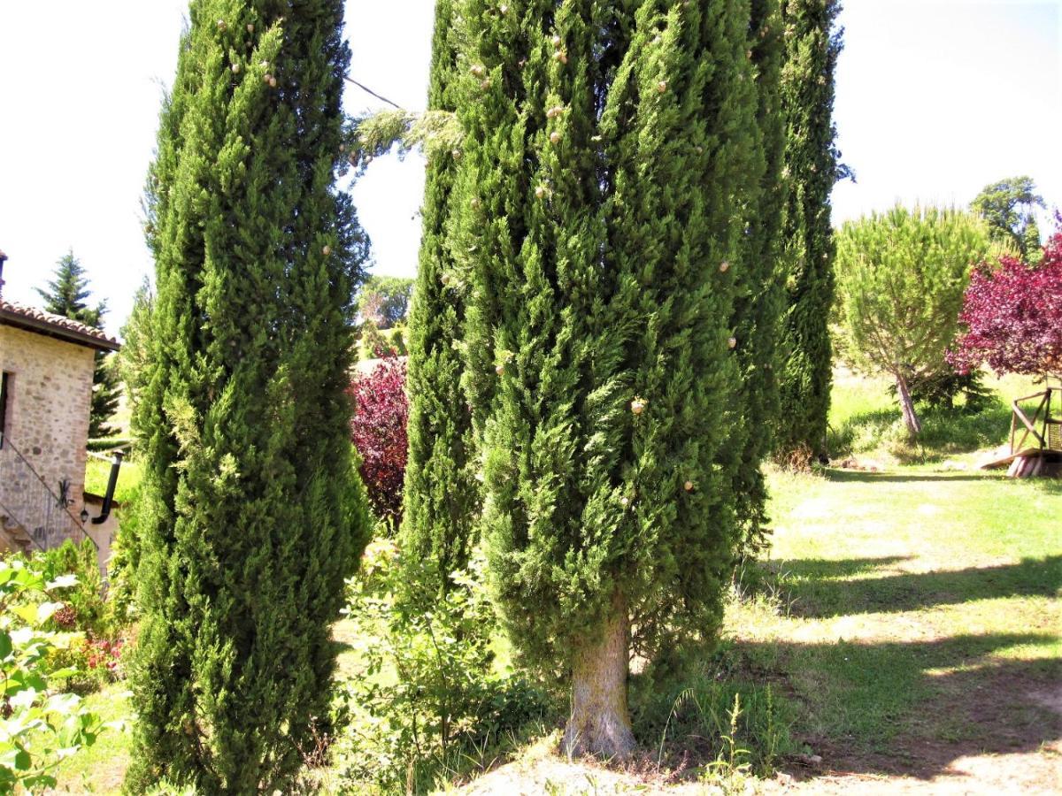 La Pietra Rara B&B 蒙托内 外观 照片