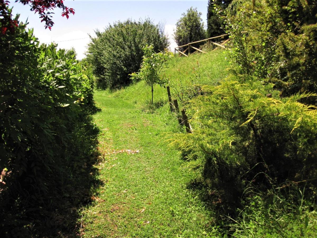 La Pietra Rara B&B 蒙托内 外观 照片